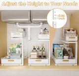 2 Tier Under Sink Organizer