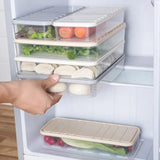 Plastic Food Storage Box With Lid, Refrigerator Organizer Box, Kitchen Dumpling Tray
