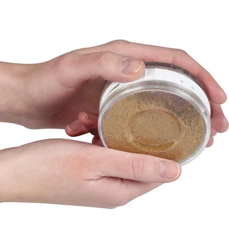 Set Of 6 Coin Spice Jar, Kitchen Condiment Storage Box, Multifunctional Transparent Cellular Spice Bowl, Creative Transparent Seasoning Cans, Kitchen Spice Mill Storage Condiment Bottles