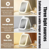Travel Makeup Case With LED Light Mirror, Cosmetic Bag With LED Light Mirror, Portable Mini Jewelry Box With Adjustable LED Light Mirror