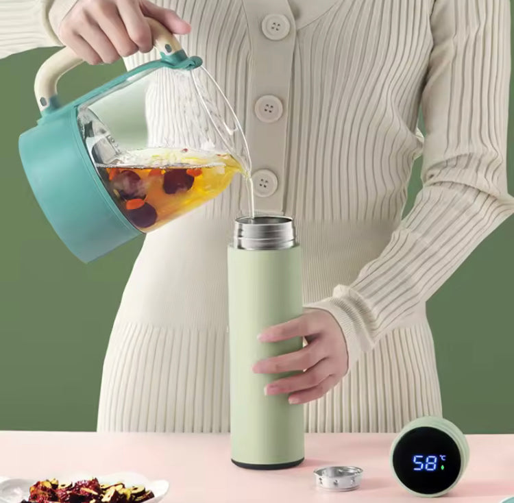 500ML LED Temperature Display Bottle, Stainless Steel Intellective Thermos with Double Bottom, Smart Vacuum Insulated Water Bottle