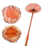 Round Spin Mop For Wash, Multifunctional Wash Floor Mop, Three Section Telescopic Handle Household Tool, Glass Floors Car Wash Mop, Rotating Wall Cleaning Mop