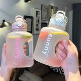 1L Sunny Water Bottle With Straw, Transparent Frosted Plastic Water Bottle, 1000ml Portable Climbing Travel Drink Cup, Outdoor Gradient Drink Bottle, Plastic Reusable Water Cup