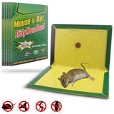 Set of 5 Mouse Trap Glue Pad, Sticky Rat Mouse Board, Mouse Rat Snake Bugs Mice Catcher, Mouse Catcher Glue Board, Mice Professional Strength Glue And Foldable Cardboard