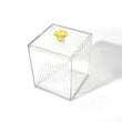 Makeup Cotton Pad & Swabs Storage Holder – Transparent Acrylic Organizer Box